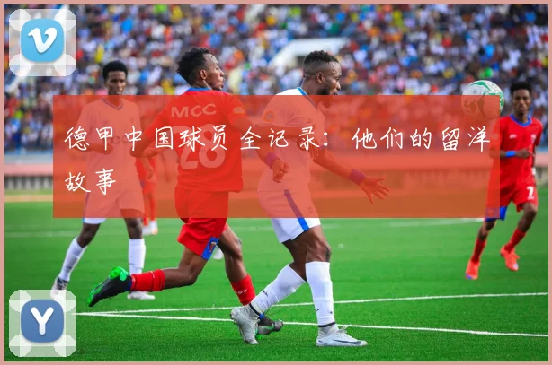 德甲中国球员全记录：他们的留洋故事