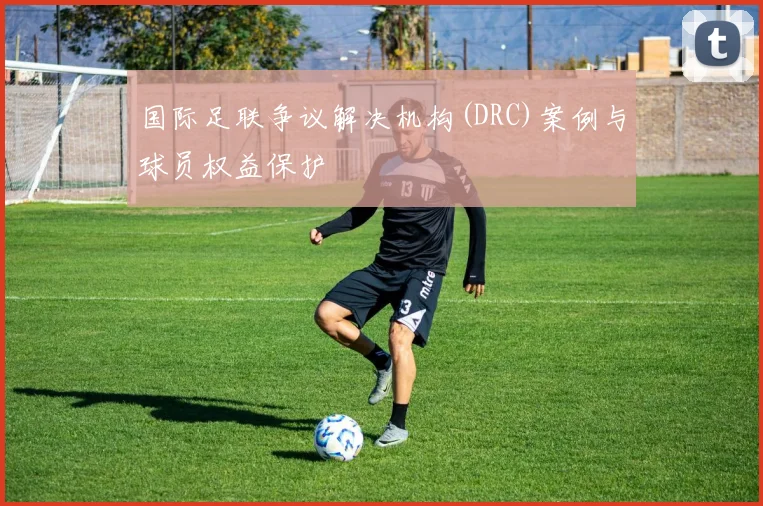 国际足联争议解决机构(DRC)案例与球员权益保护