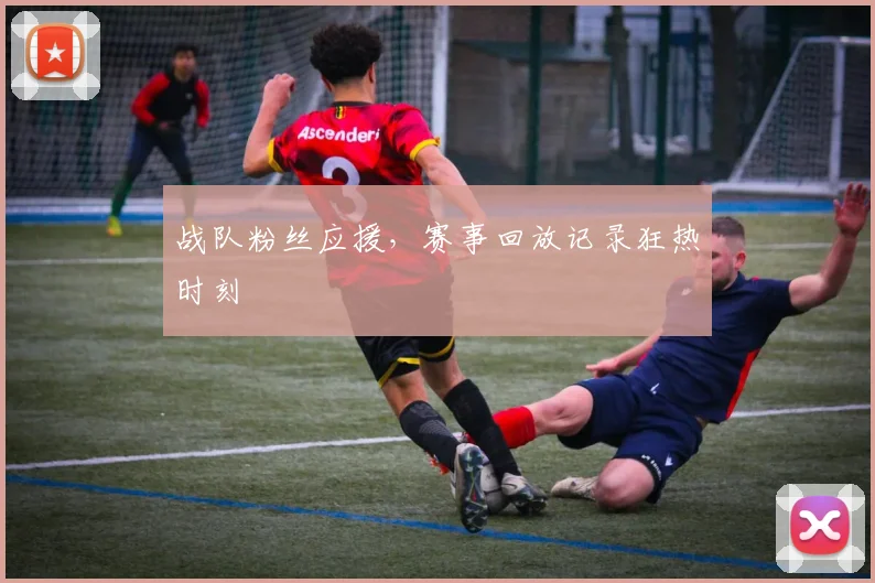 战队粉丝应援，赛事回放记录狂热时刻